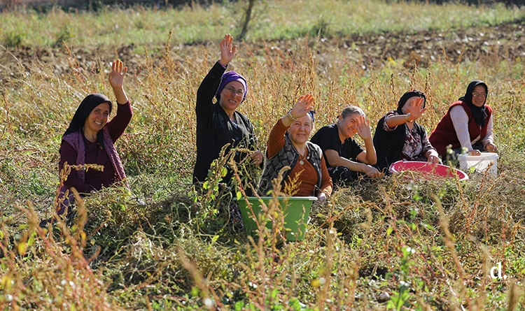 Üreten şehir vizyonu: Samsun’da tarım güçleniyor 9 Ureten sehir vizyonu Samsunda tarim gucleniyor 5