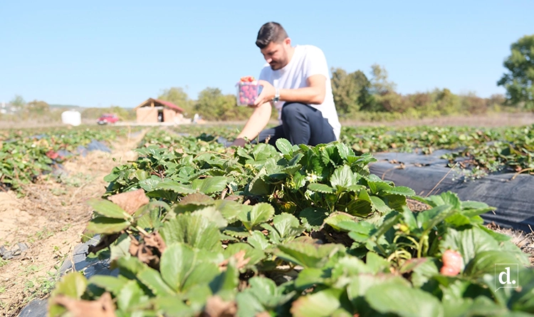 Üreten şehir vizyonu: Samsun’da tarım güçleniyor 8 tarim 2