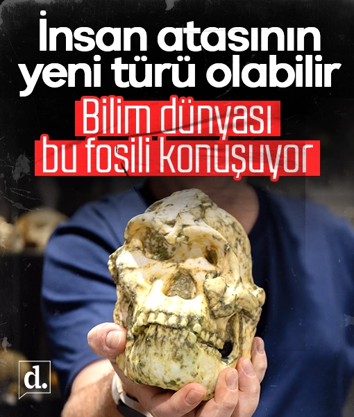 Bilim dünyası bunu konuşuyor: Little Foot fosili yeni bir insan türü olabilir