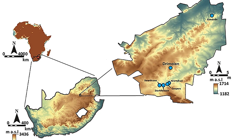 Bilim dünyası bunu konuşuyor: Little Foot fosili yeni bir insan türü olabilir 5 Little Foot’un keşfedildiği yeri gösteren bir harita. Çizim: La Trobe Üniversitesi