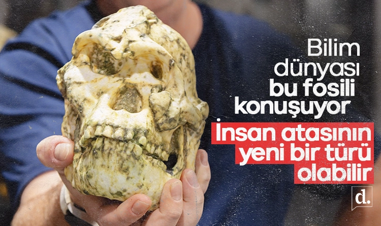 Bilim dünyası bunu konuşuyor: Little Foot fosili yeni bir insan türü olabilir 1 Bilim dunyasi bu fosili konusuyor Little Foot yeni bir insan turu olabilir