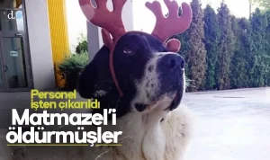 Son Dakika | Haberler, Siyaset, Ekonomi ve Gündem – Diye Konuştu