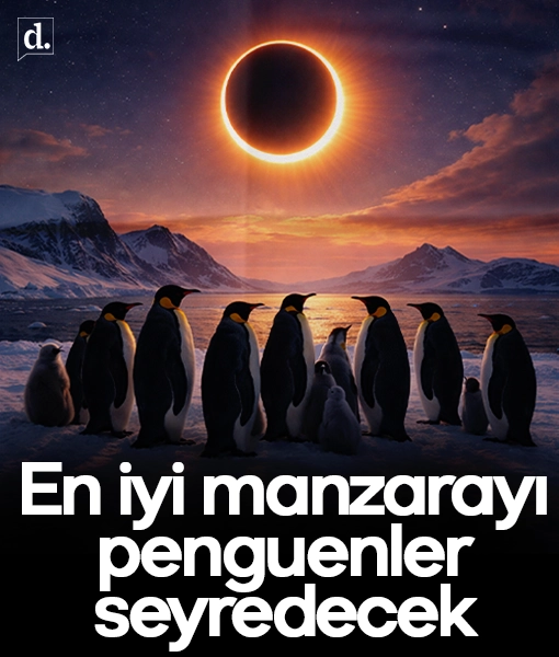 Halkalı güneş tutulması yaşanacak: En iyi manzarayı penguenler seyredecek