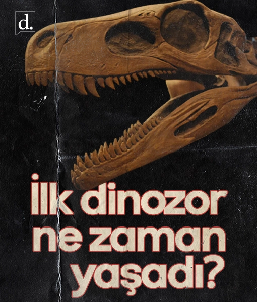 Bilim dünyasını şaşırtan soru: İlk dinozor ne zaman yaşadı?