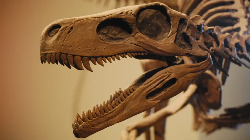 Bilim dünyasını şaşırtan soru: İlk dinozor ne zaman yaşadı? Bilim dünyasını şaşırtan soru: İlk dinozor ne zaman yaşadı?