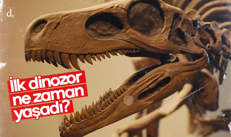 Bilim dünyasını şaşırtan soru: İlk dinozor ne zaman yaşadı?