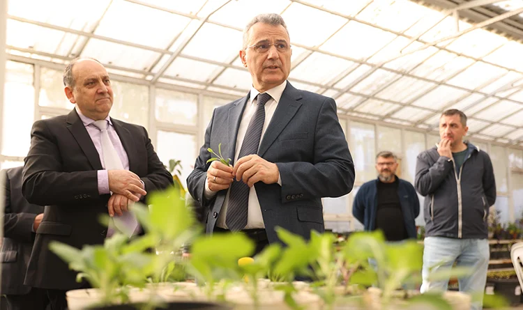 İlkadım'da Ata Tohumları gelecekle buluştu İlkadım'da Ata Tohumları gelecekle buluştu
