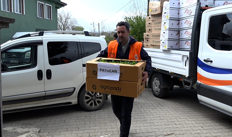 Atakumlu çiftçiye 100 bin adet sebze fidesi