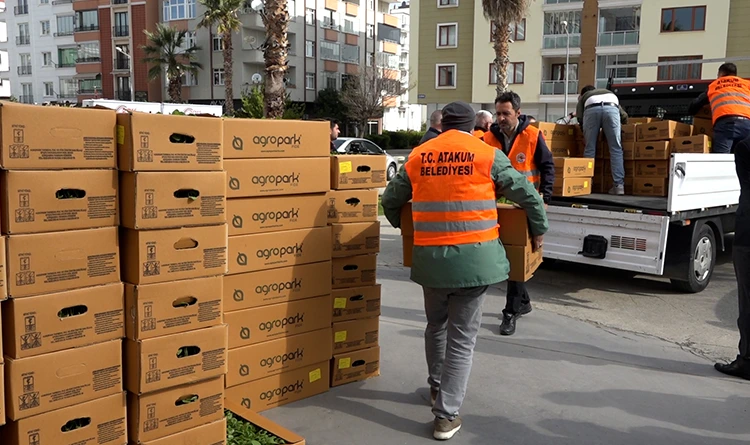 Atakumlu çiftçiye 100 bin adet sebze fidesi