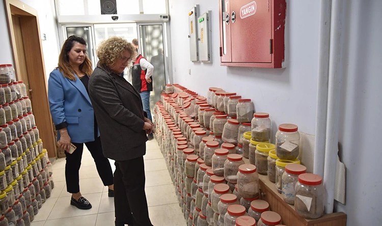 Atakumlu muhtarlar tarım üssünü ziyaret etti