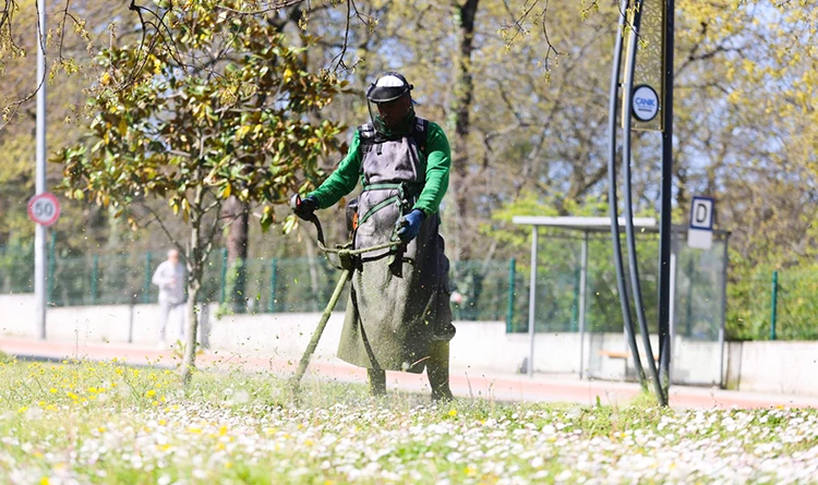 Canik'te parklar yaza hazırlanıyor