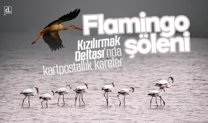 Türkiye ve dünyadan son dakika haberleri, siyaset, ekonomi ve gündeme dair gelişmeler Diye Konuştu’da.