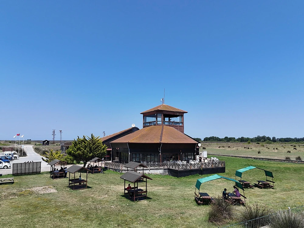 Kızılırmak Deltası’nda bahar: Flamingolardan görsel şölen