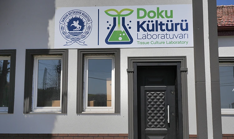 Samsun tarımda güçleniyor: Yeni laboratuvar hizmete giriyor