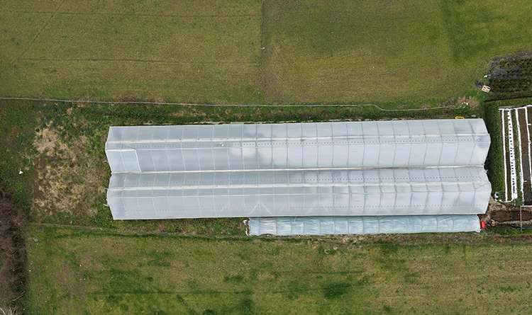 Samsun’da bir başarı öyküsü: Kadın girişimci Türkiye’ye açıldı