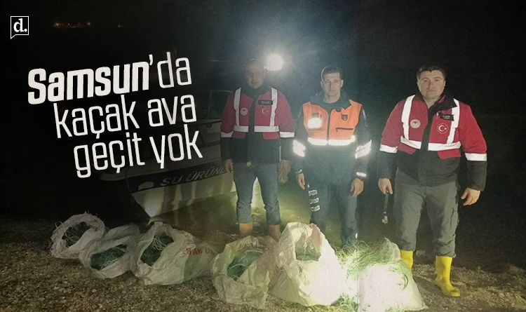 Samsun’da kaçak avcılık operasyonu