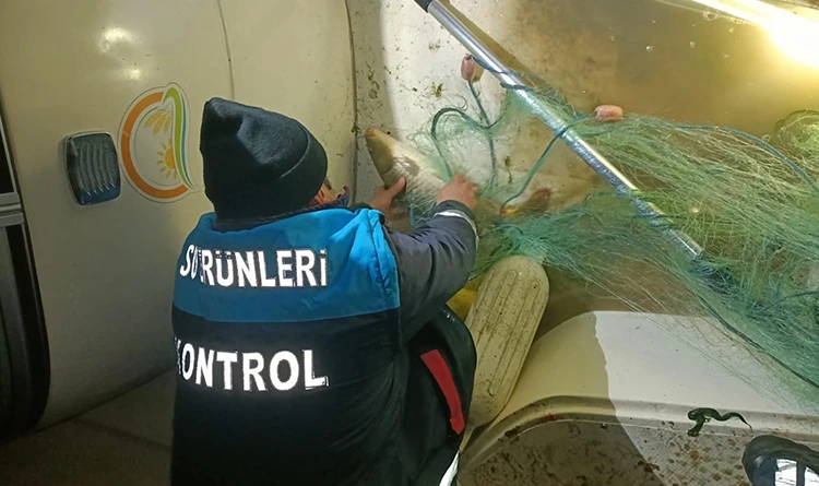 Samsun'da kaçak avcılık operasyonu