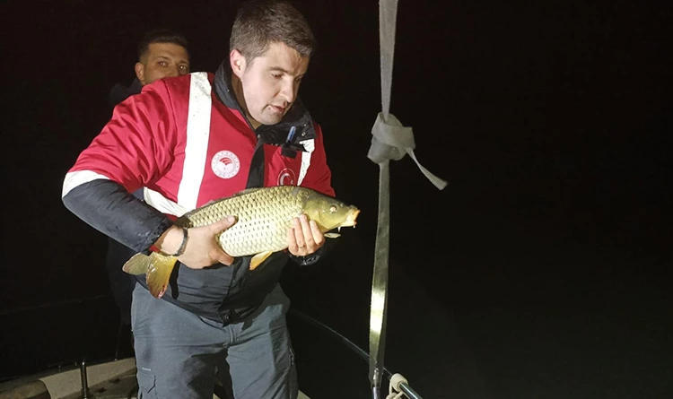 Samsun'da kaçak avcılık operasyonu