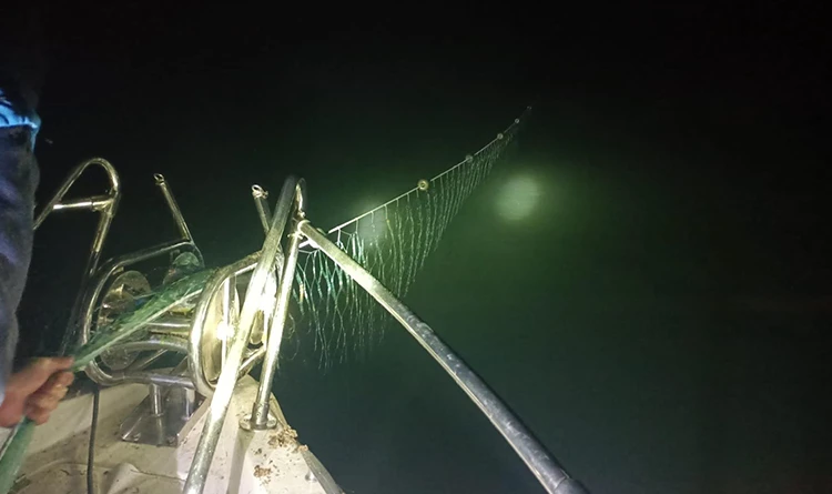 Samsun'da kaçak avcılık operasyonu