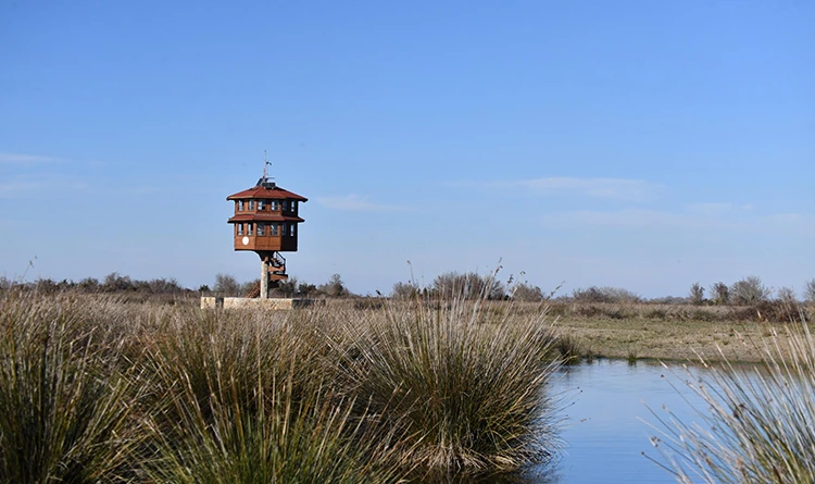 Samsun'da turizm atağı: Karadeniz'in yıldızı parlıyor