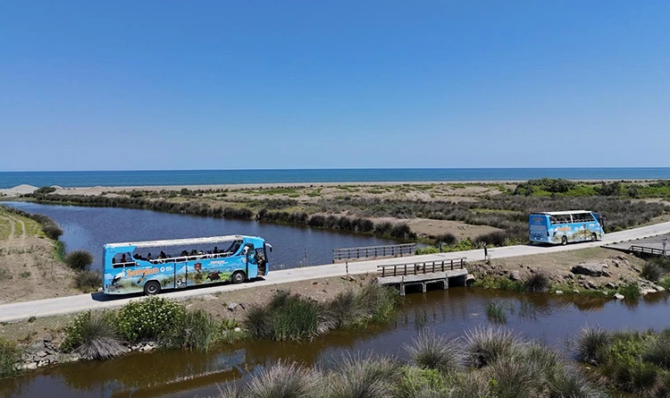 Samsun'da turizm atağı: Karadeniz'in yıldızı parlıyor