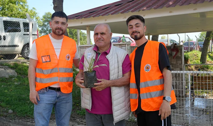 Atakum Belediyesi arefe günü mezarlıklarda çiçek fidesi dağıttı