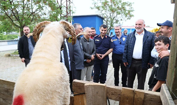 Kafeteryası da var! Canik Belediyesi Kurban Pazarı'na tam not