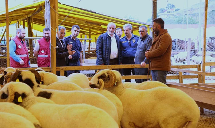 Kafeteryası da var! Canik Belediyesi Kurban Pazarı'na tam not