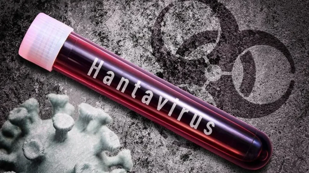 Türkiye'de Hantavirüs var mı? Sağlık Bakanlığı'ndan açıklama geldi